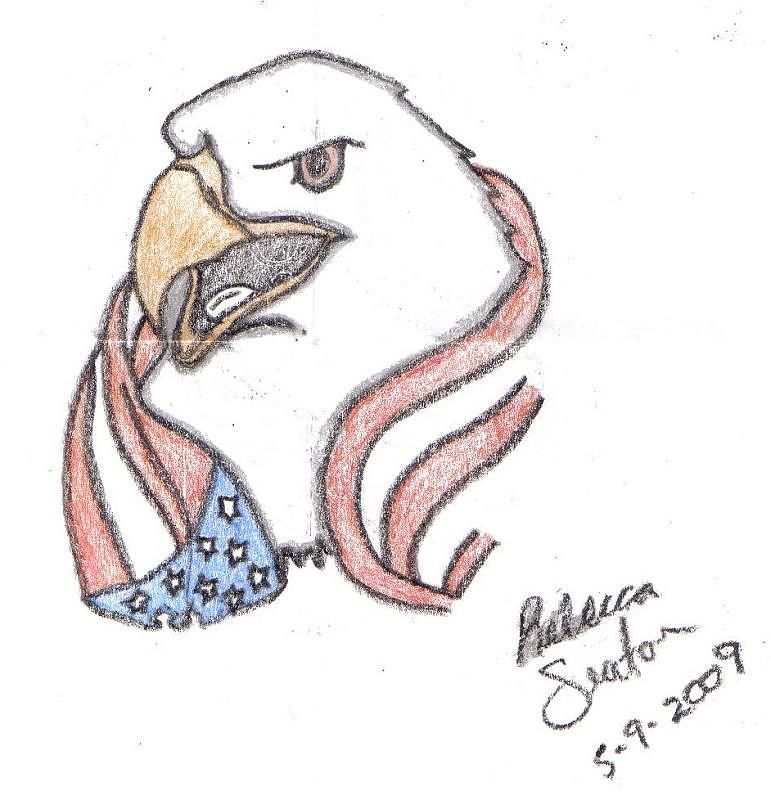 771x800 American Eagle Drawing By Rebecca Seaton