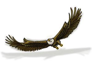 300x200 How To Draw Eagle Wings