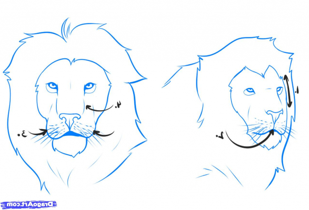 1024x695 Simple Lion Face Drawing