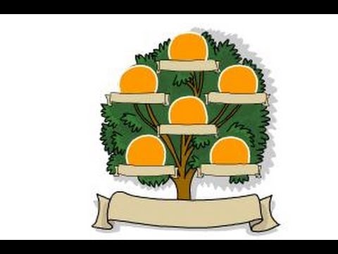 480x360 How To Draw A Family Tree
