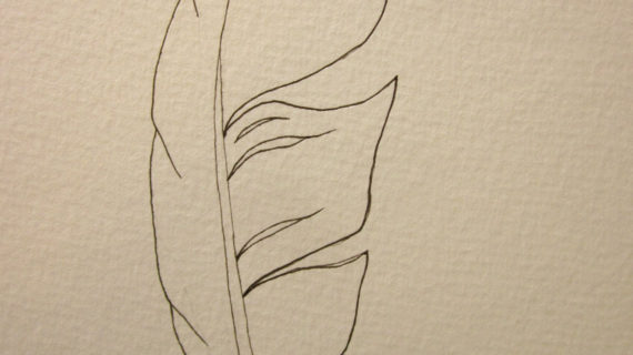 570x320 Simple Drawing Of A Feather Original Ink Feather Drawing ~ 2 Sea