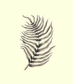 236x271 Easy To Follow, Few Simple Step Photoshop Tutorial To Convert