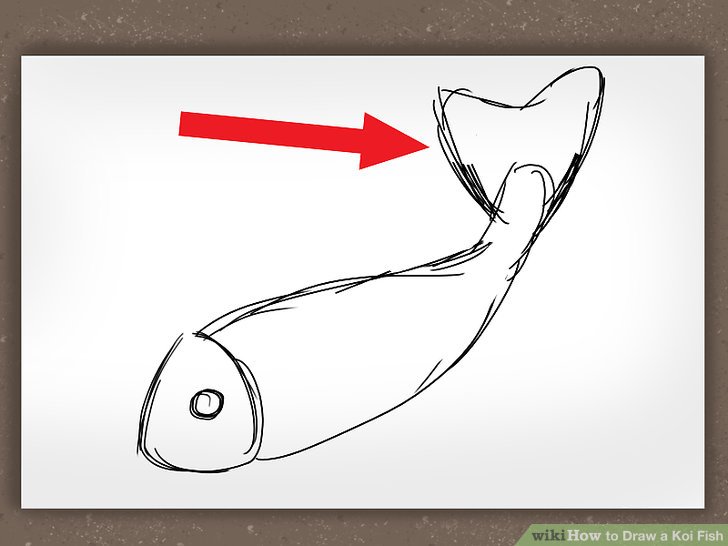 728x546 How To Draw A Koi Fish 7 Steps (With Pictures)