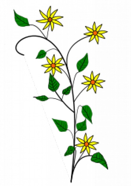 443x626 Simple Yellow Flowers Drawing With White Background Vector Free