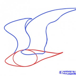 320x320 Tag For How To Draw Flying Bird How To Draw Flying Birds Step 4