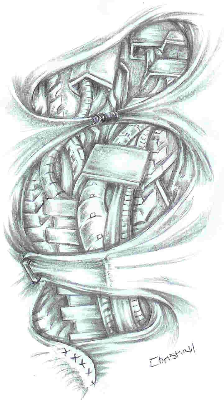 720x1282 A Pretty Simple Biomech Piece That An Old Friend Got. Description