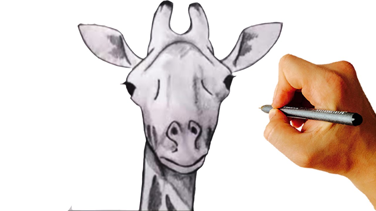 1280x720 How To Draw A Giraffe Very Simple Step By Step Drawing For Kids