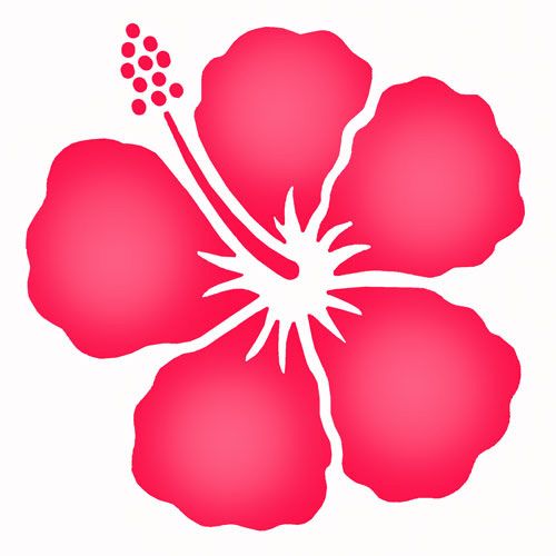 500x500 Simple Hibiscus Flower Probably Get It In Purple