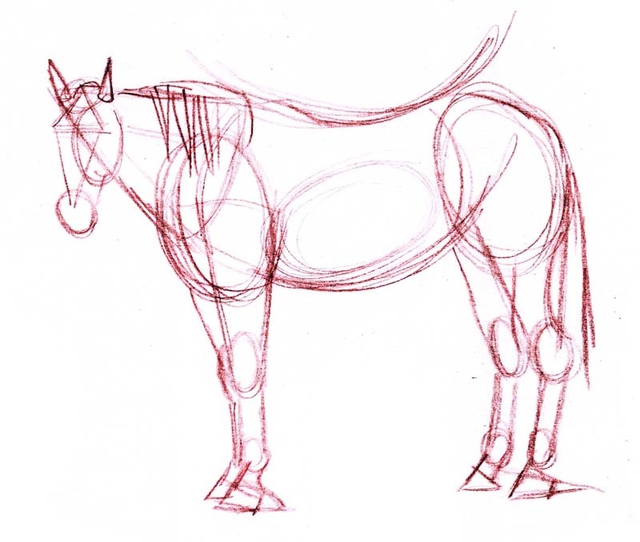 640x542 Learn How Easy It Is To Draw A Horse Horse Drawn, Horses
