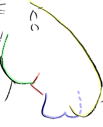 350x433 How To Draw Cartoon Horse Head Face With Easy Step By Step