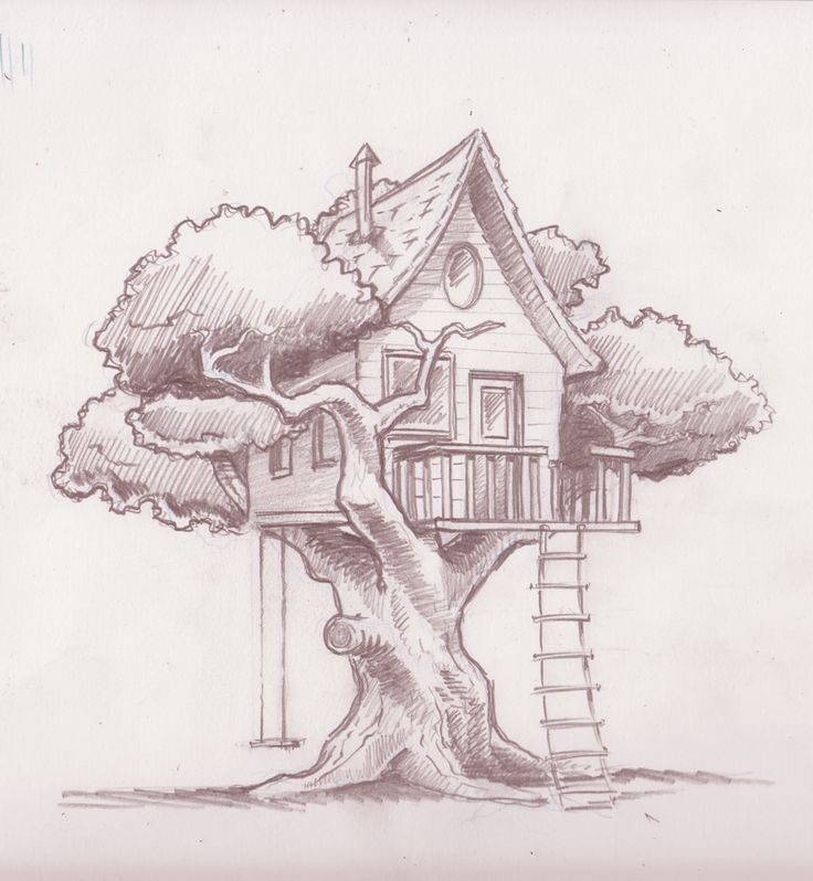 736x798 Image Result For How To Draw A Realistic Tree House Art Projects