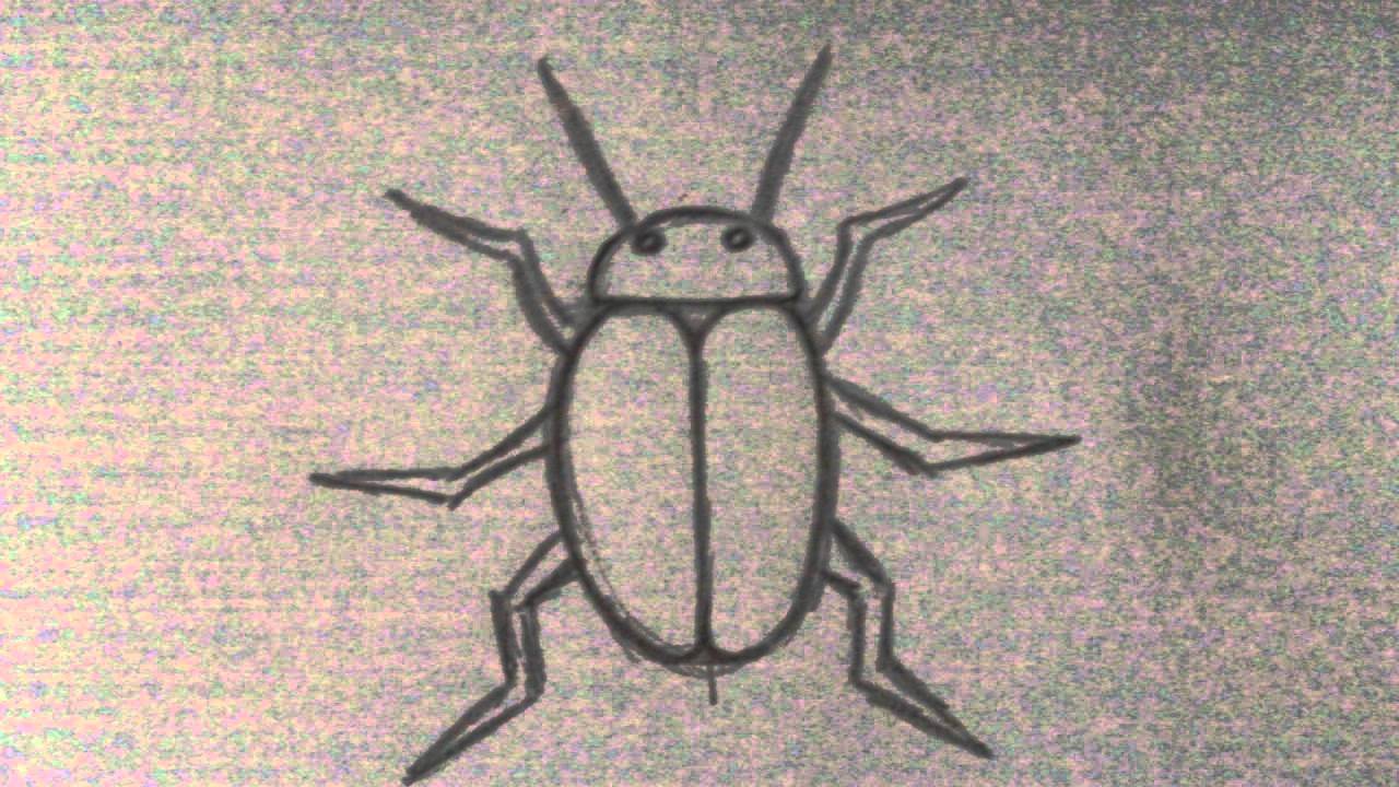 1280x720 Drawing A Beetle Tattoo Art Idea