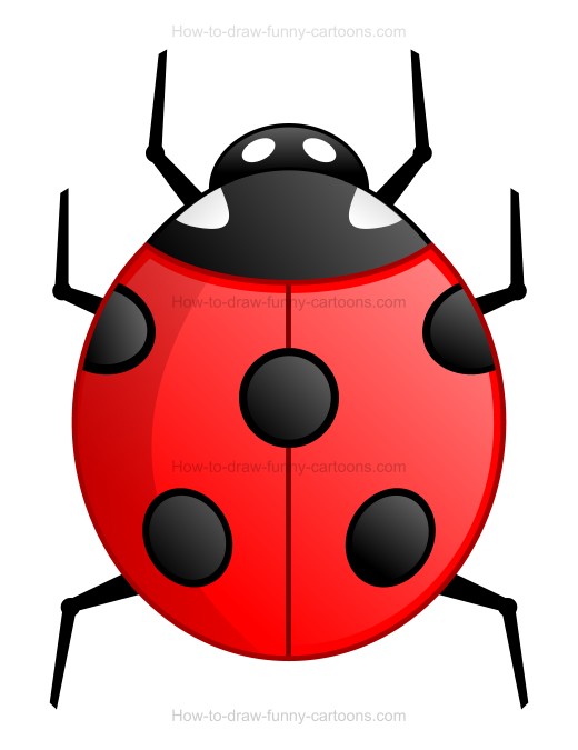 520x675 To Draw A Cartoon Ladybug