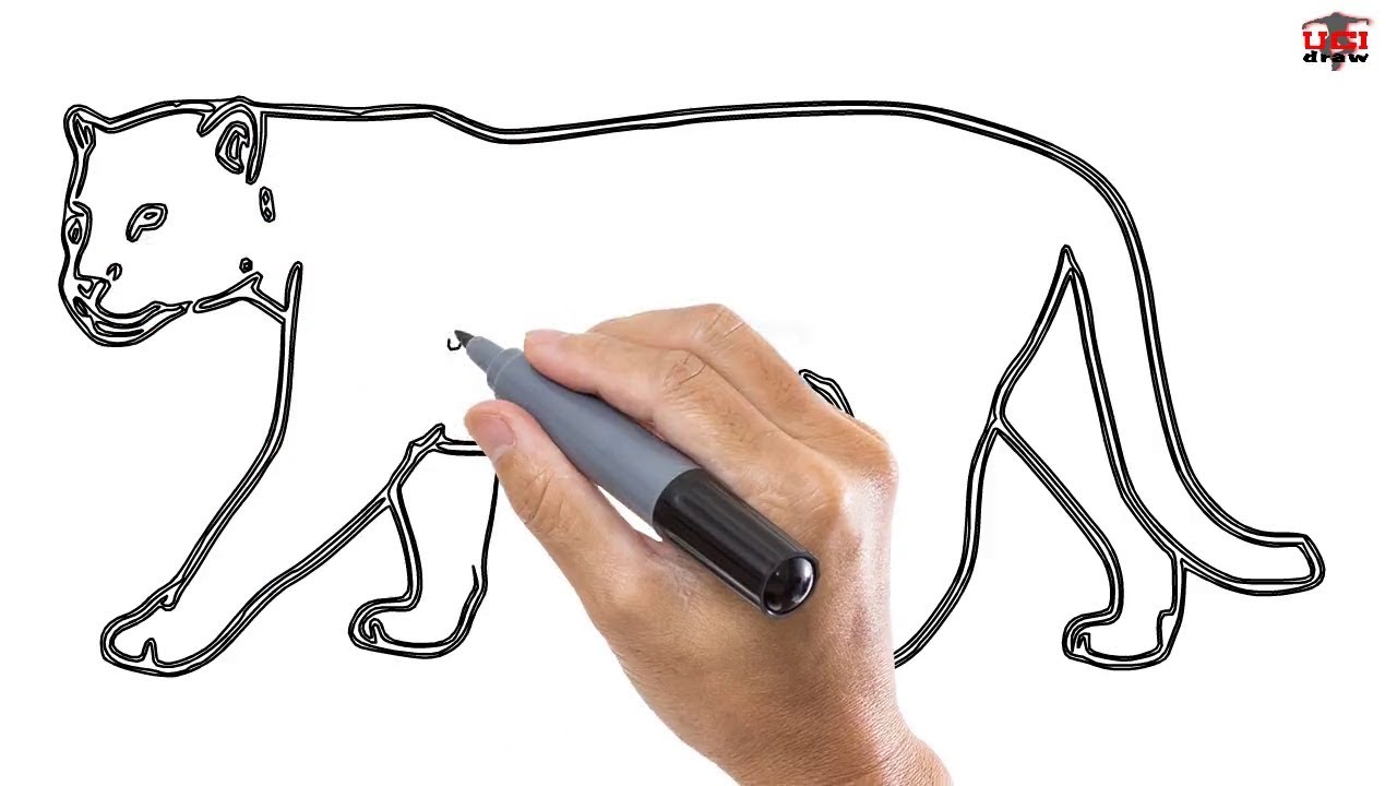 1280x720 How To Draw A Jaguar Easy Step By Step Drawing Tutorials For Kids
