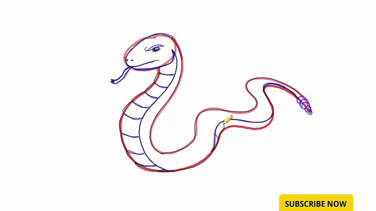 1280x720 Simple Drawing Of A Snake How To Draw A Snake For Kids