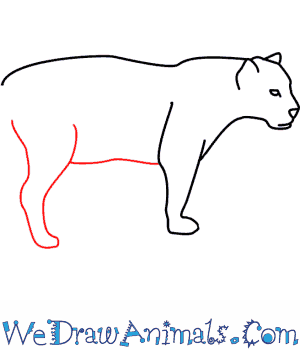 300x350 Jaguar 06.png