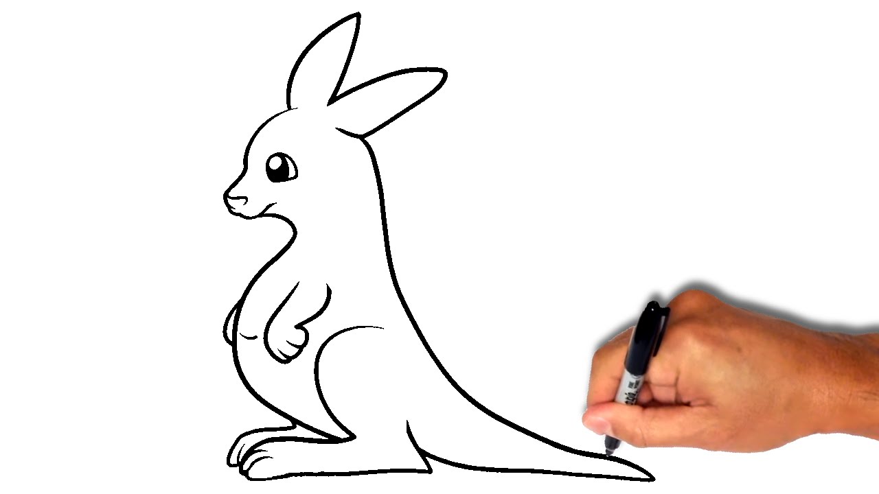 1280x720 How To Draw A Kangaroo [Less Than 2 Minutes]