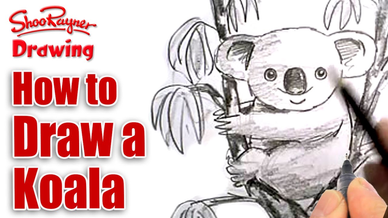 Simple Koala Drawing at GetDrawings | Free download