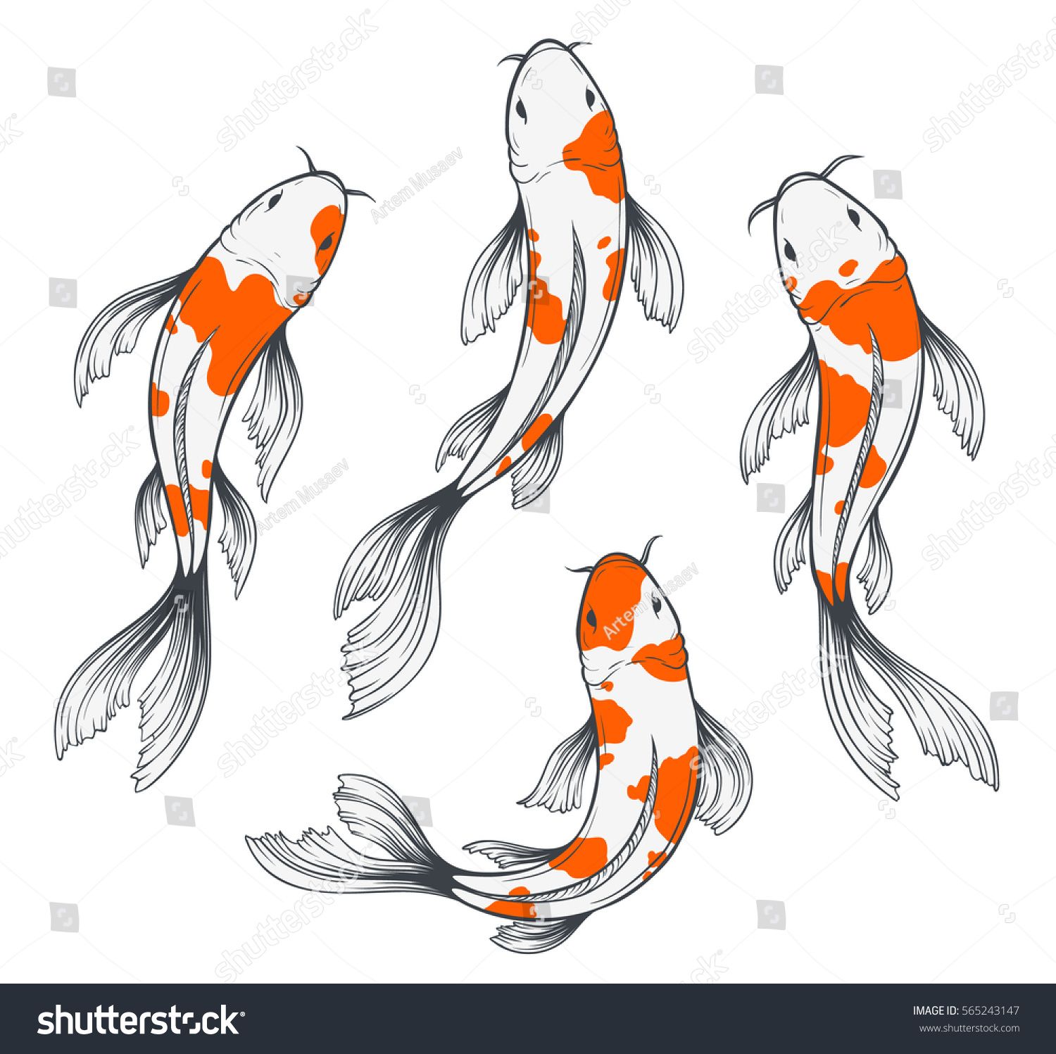 1500x1497 Set Of Four Traditional Japanese Koi Fishes Top View. Simple