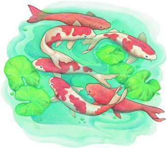 340x302 Tips For Drawing The Symbolic Koi Fish In A Few Simple Steps