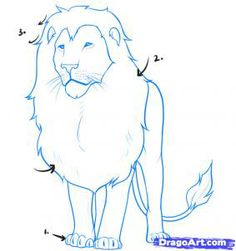 236x251 Simple Lion Drawings In Pencil Artdrawing Ideas