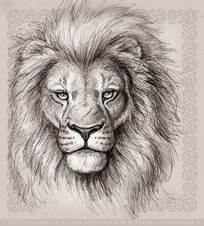 649x720 Pictures How To Draw A Lion Head,