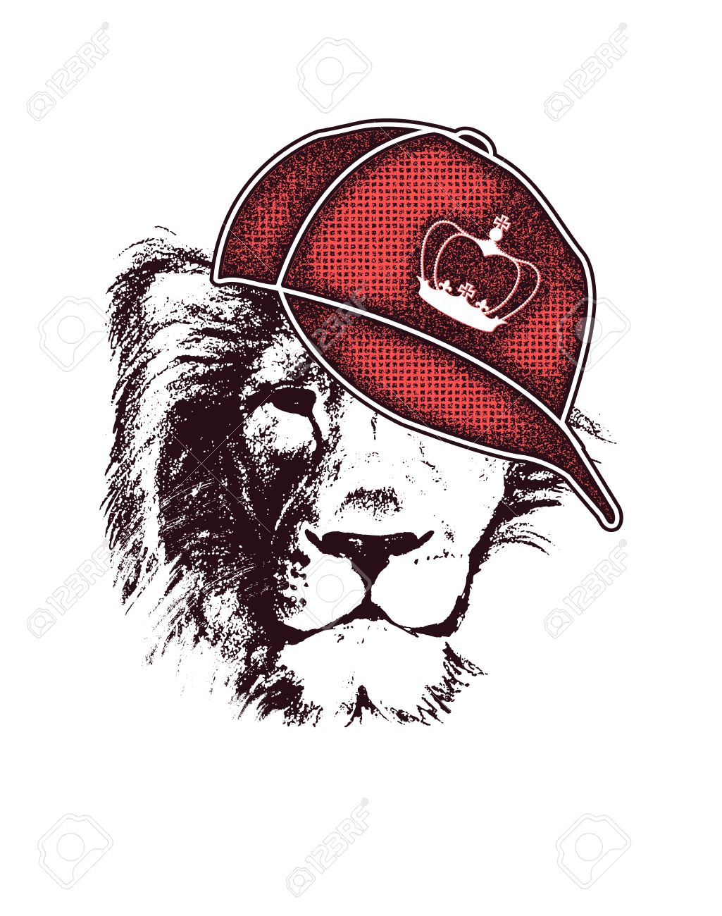 1025x1300 Lion Drawing Stock Photos. Royalty Free Business Images