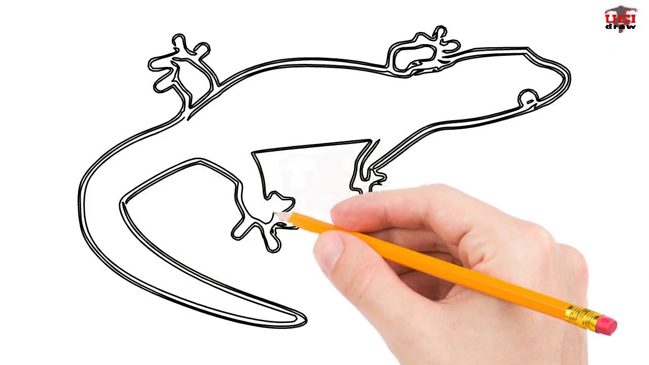 1280x720 How To Draw A Lizard Step By Step Easy For Beginnerskids Simple