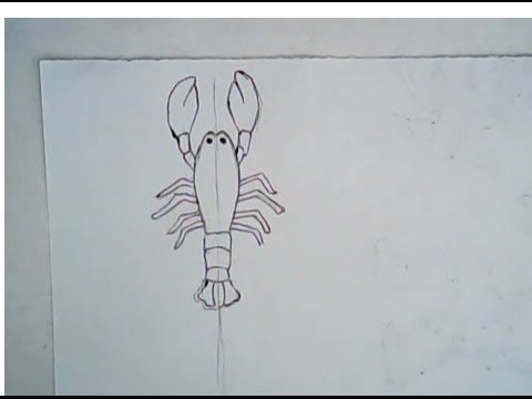 480x360 How To Draw A Lobster (Simple Drawing)