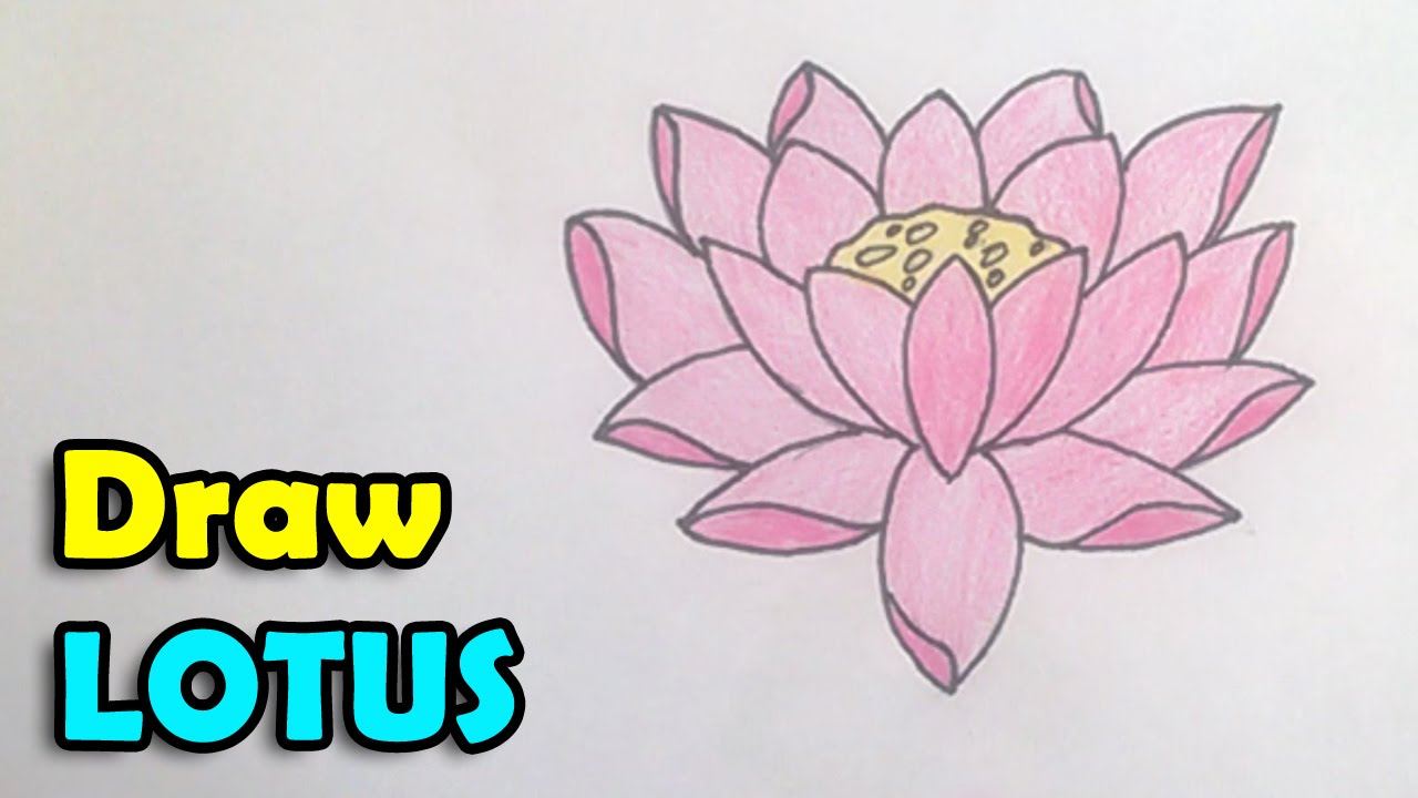 1280x720 How To Draw A Lotus Flower Step By Step