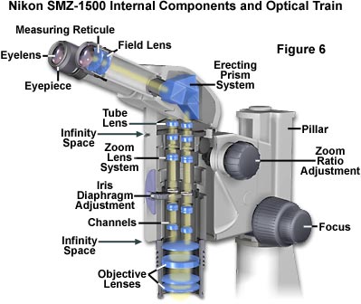 399x336 Microscope Diagram Microscope Parts