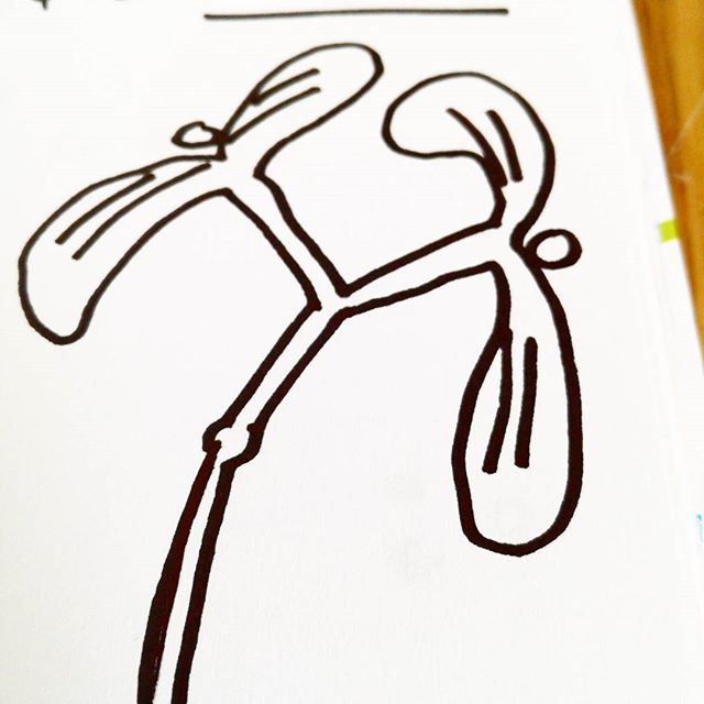 640x640 Mistletoe christmass sketch drawing simple minimalistic