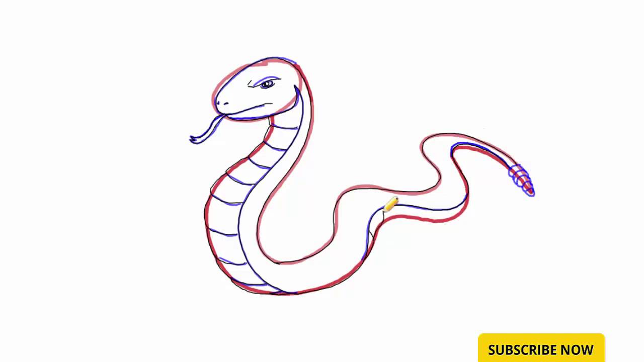 1280x720 How To Draw A Snake For Kids