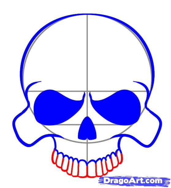 558x613 A Simple Skull Art Techniques Simple Skull