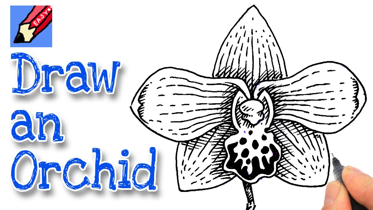 1280x720 How To Draw An Orchid Flower Real Easy