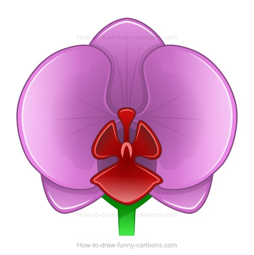 500x503 To Draw An Orchid