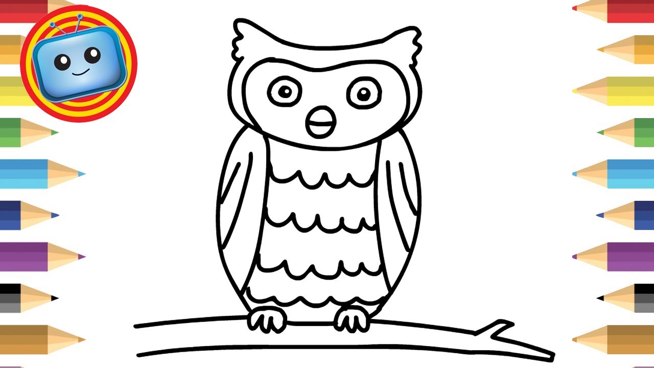 1280x720 How To Draw An Owl Colouring Book Simple Drawing Game