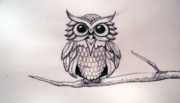 600x345 Owl Tattoo Sketch Tattoos Tree Branch Tattoo