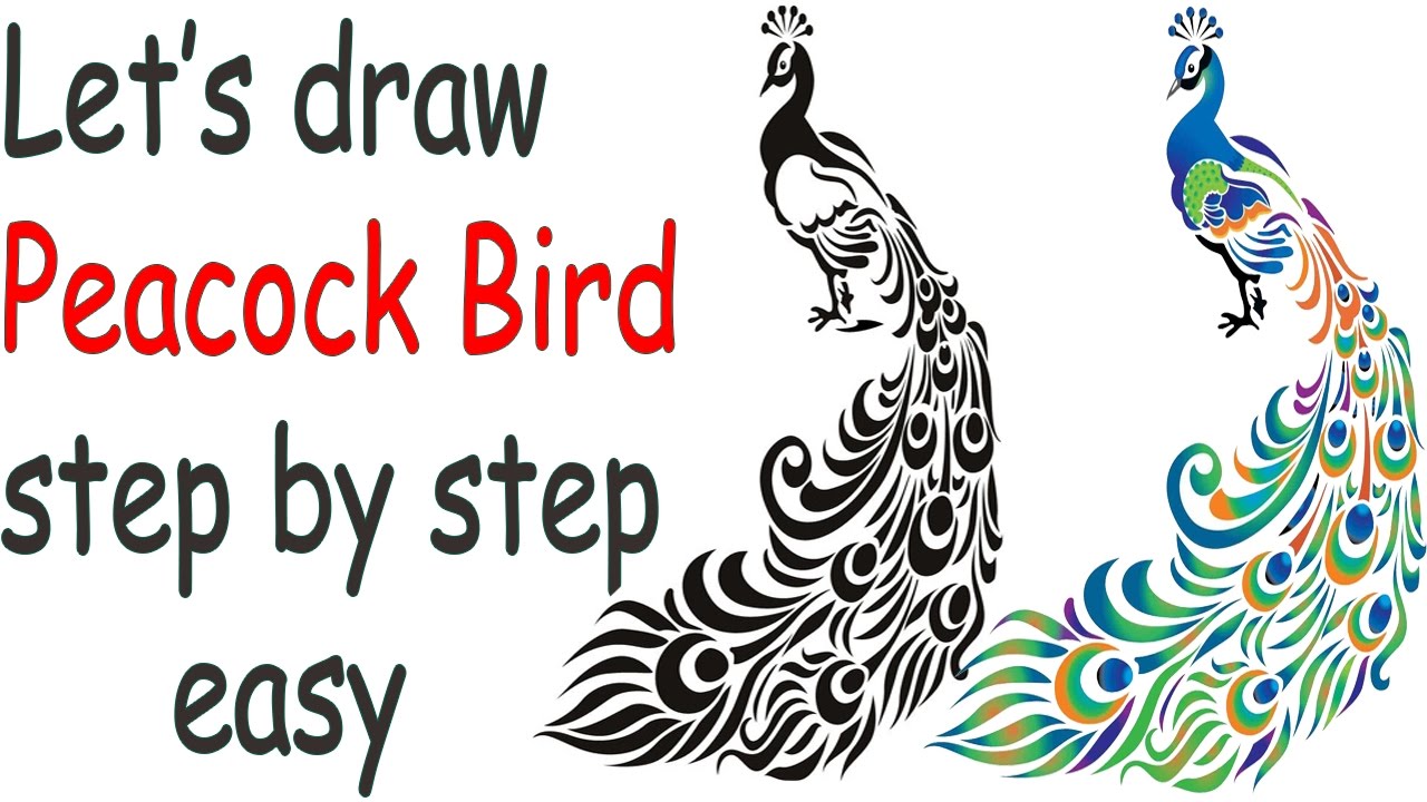 1280x720 How To Draw A Peacock Step By Step Easy Realistic Peacock