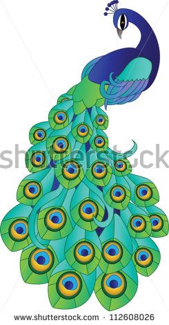 245x470 Simple Colorful Peacock Drawing