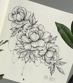 Simple Peony Drawing at GetDrawings | Free download