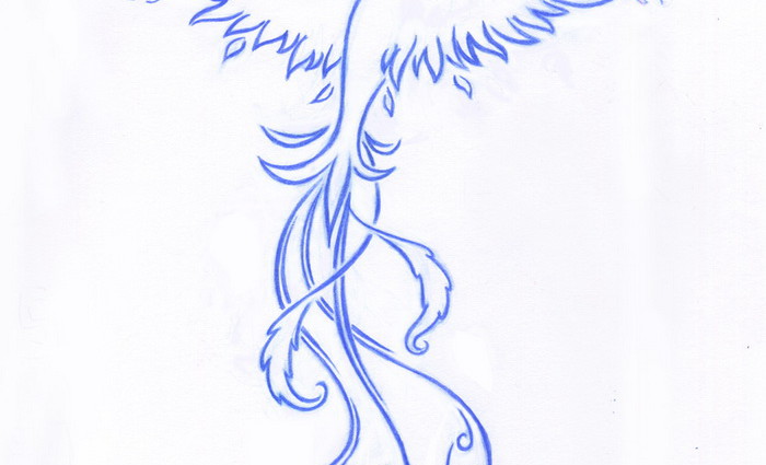 700x425 Simple Blue Phoenix Tattoo Drawing