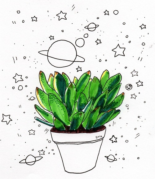 500x575 Pin By Jen Smith On Plants Doodles, Drawings And Journal