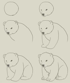 236x278 How To Draw Polar Bear Cub By Hauru7 On Dibujos