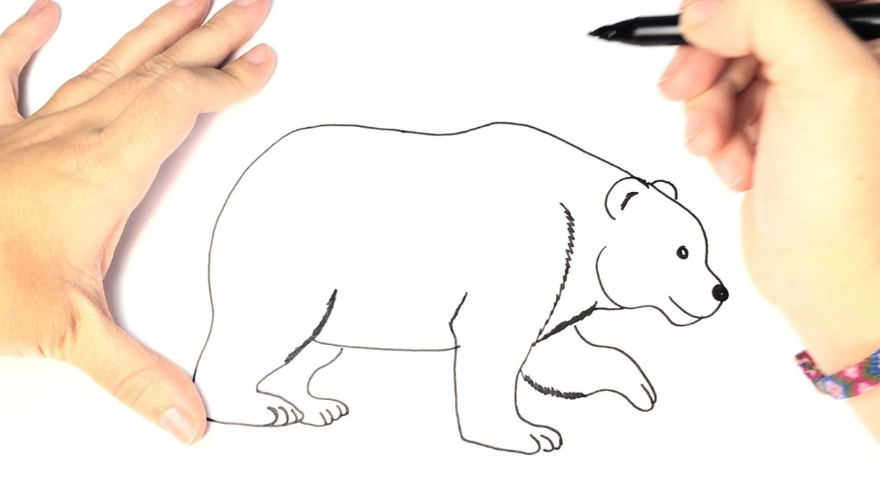 1280x720 How To Draw A Polar Bear For Kids
