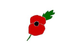300x200 How To Draw A Poppy
