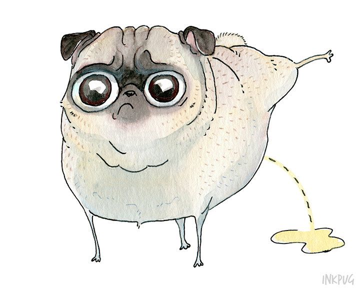 720x576 Pee Pilates Peeing Pug Art Print