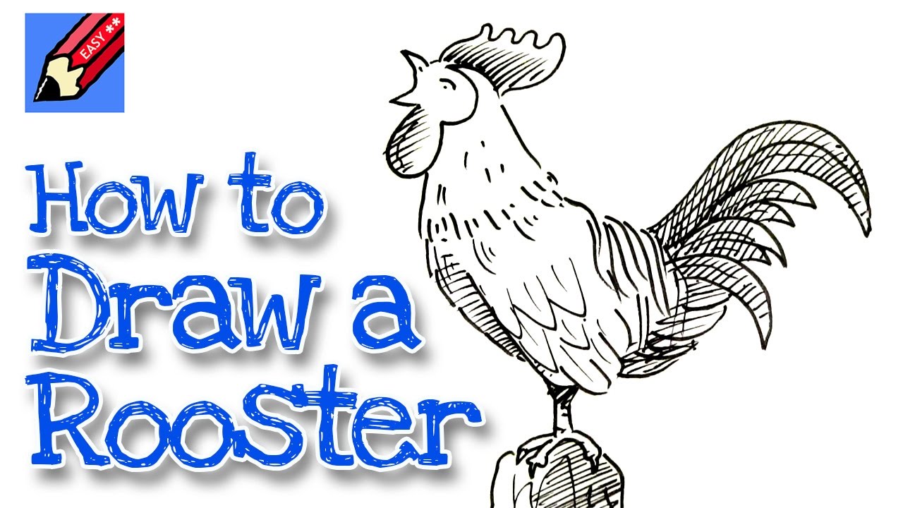 1280x720 How To Draw A Rooster Crowing Real Easy For Chinese New Year