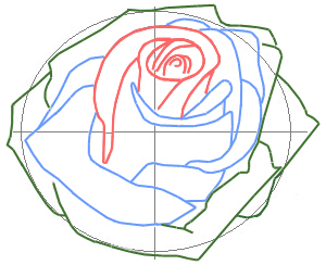300x244 How To Draw A Rose Bud