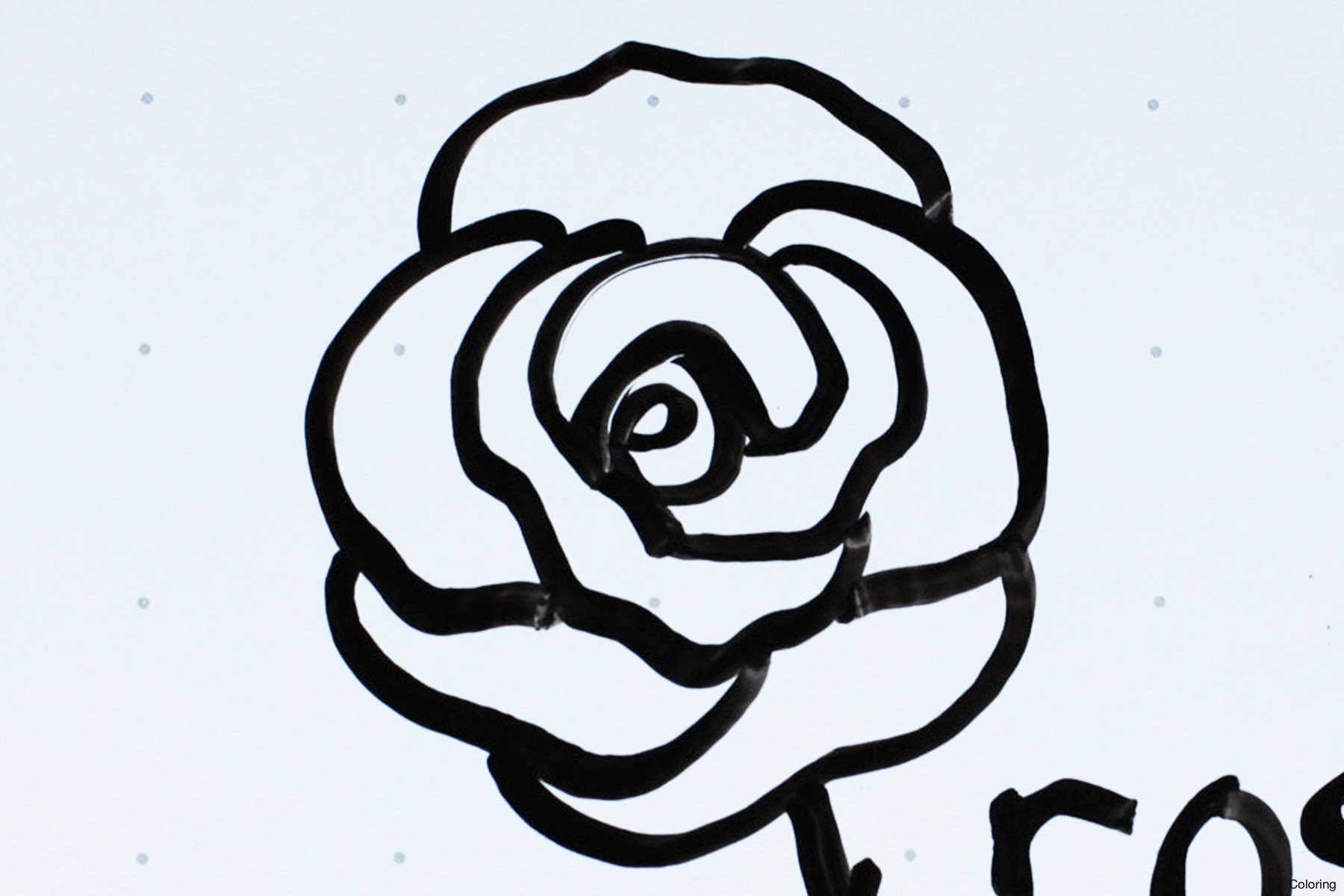 1800x1200 Drawing Roses Step By In Pencil Rose Flower How To Draw With Easy